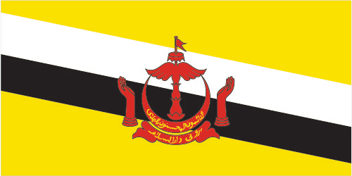 Flag of Brunei Darussalam